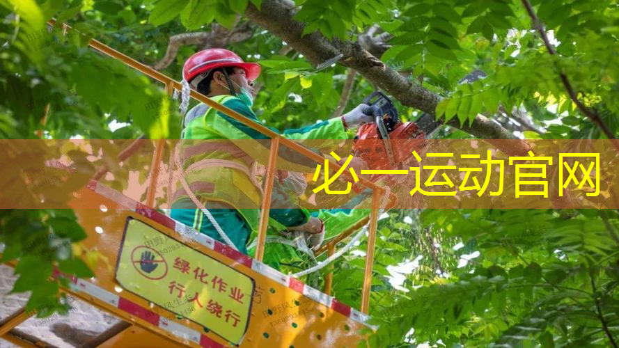 网球拍拍面长度是多少厘米