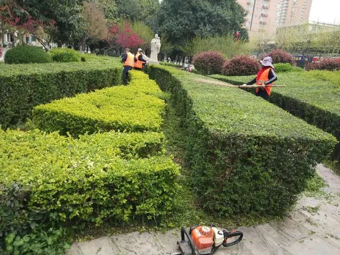 乒乓球台中间栏高度