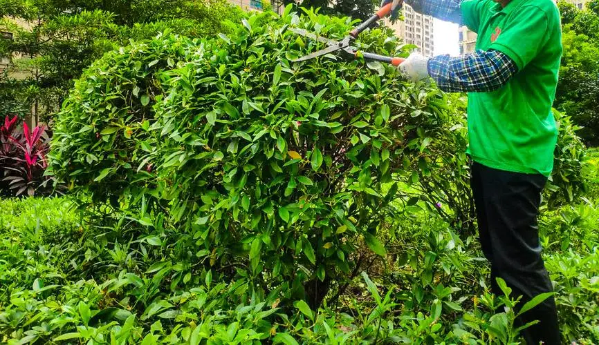 体育工程如何改善运动场地的防盗和安全监控？
