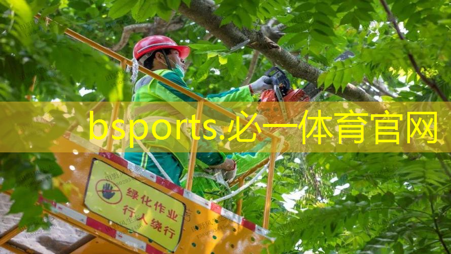 炭烧积木搭建乒乓球台